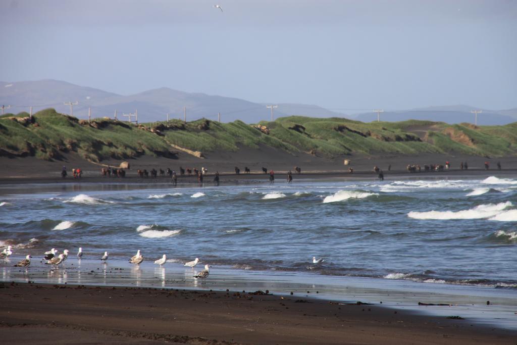 Jonna Guesthouse Þorlákshöfn Dış mekan fotoğraf